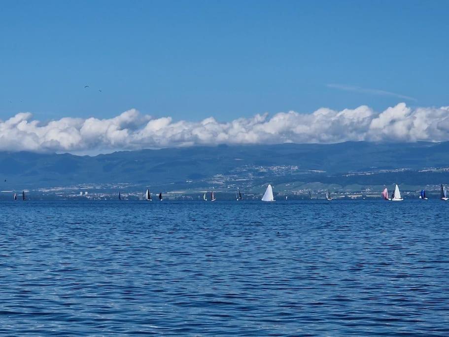 Les Mouettes Daire Thonon-les-Bains Dış mekan fotoğraf