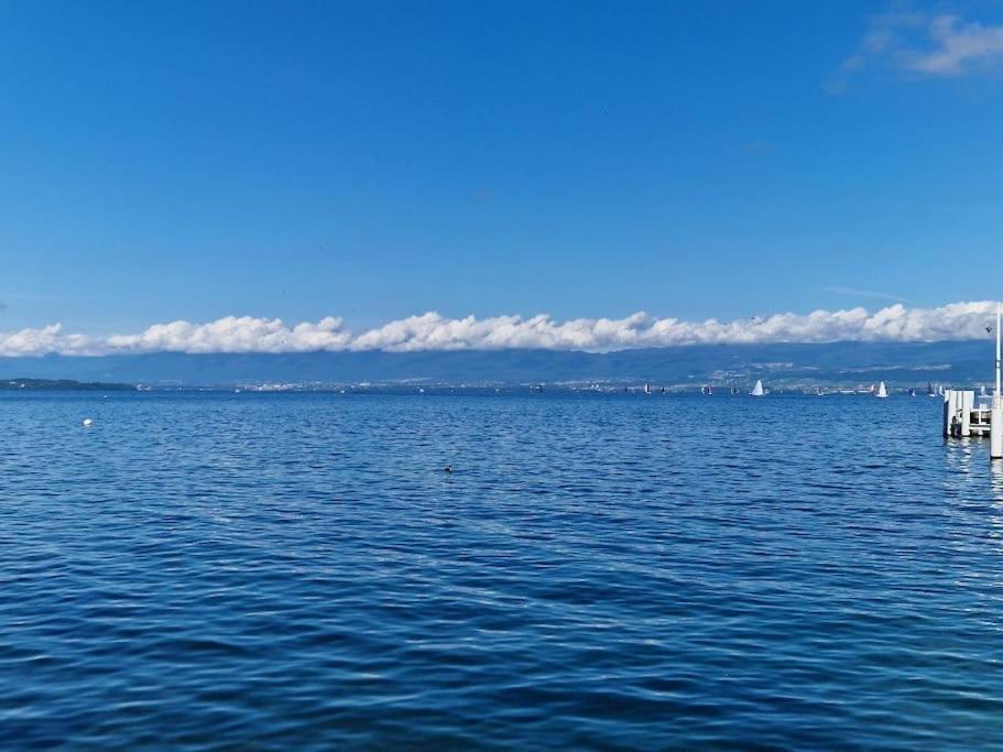 Les Mouettes Daire Thonon-les-Bains Dış mekan fotoğraf